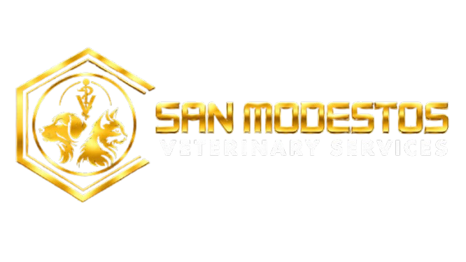 San Modestos Veterinary Services